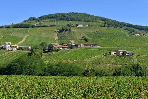Mont Brouilly