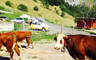 Activité séminaire Annecy