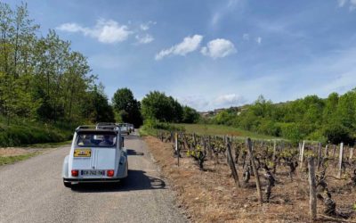 Top des activités en plein air à faire tout près de Lyon